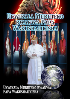 Ukwikala Mubuteko bwakwa Papa Wakushalikisha